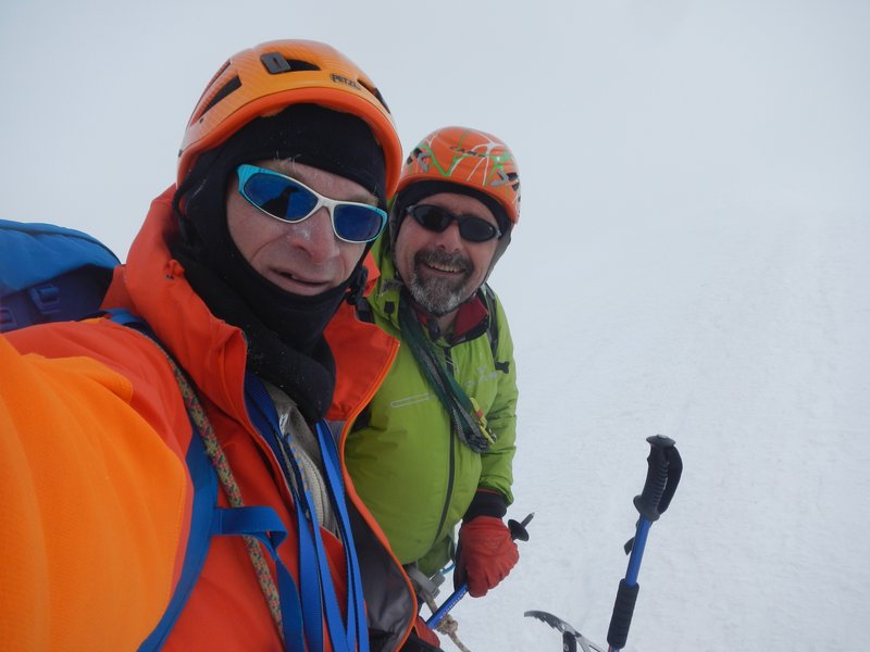 vento in cima alla punta parrot