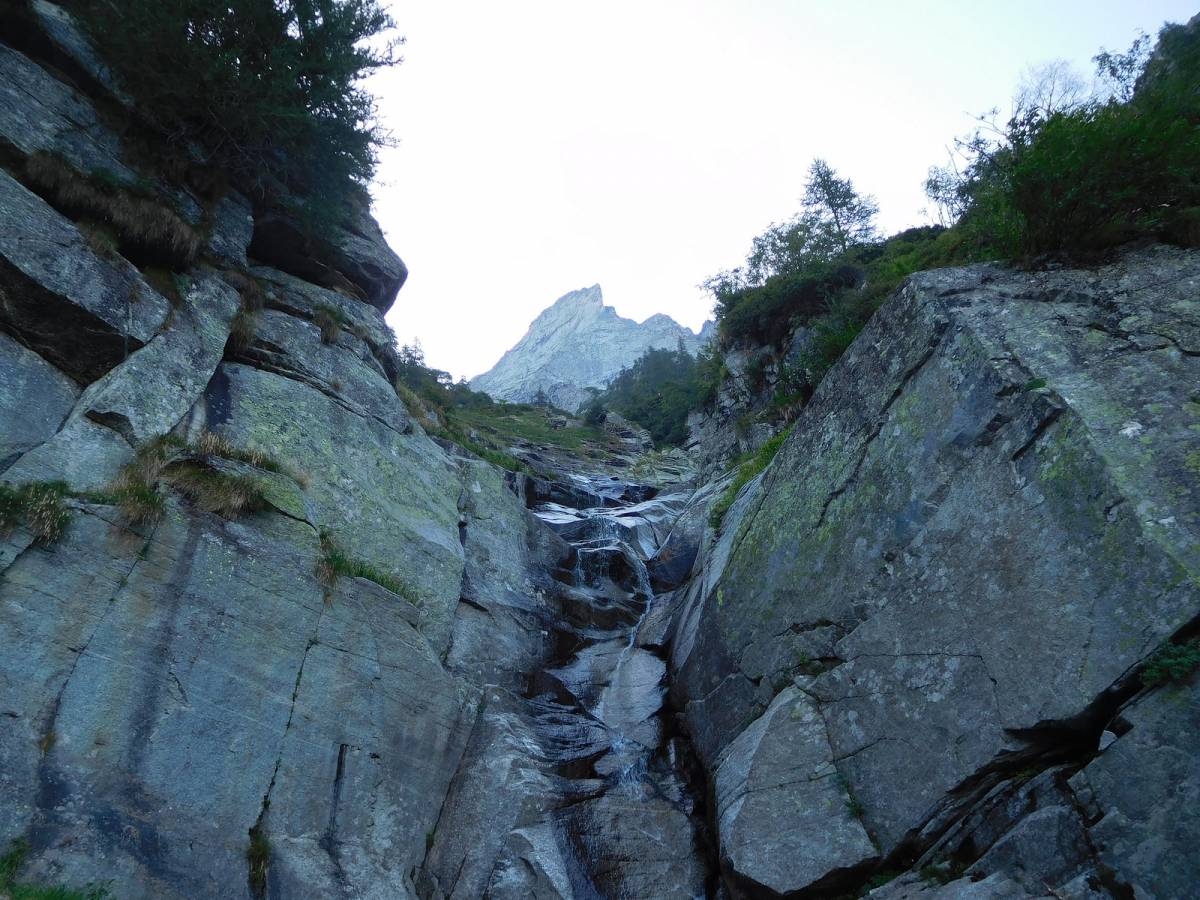 Verso la fine del lungo traverso verso sinistra sopra l'Alpe Colla. Le tracce di sentiero corrono in piano nel bosco, utili le tracce dei rami spezzati dei cacciatori.