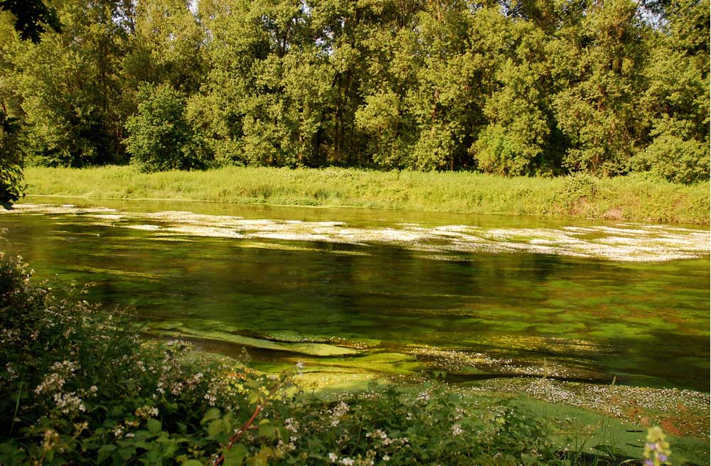 Acque verde smeraldo