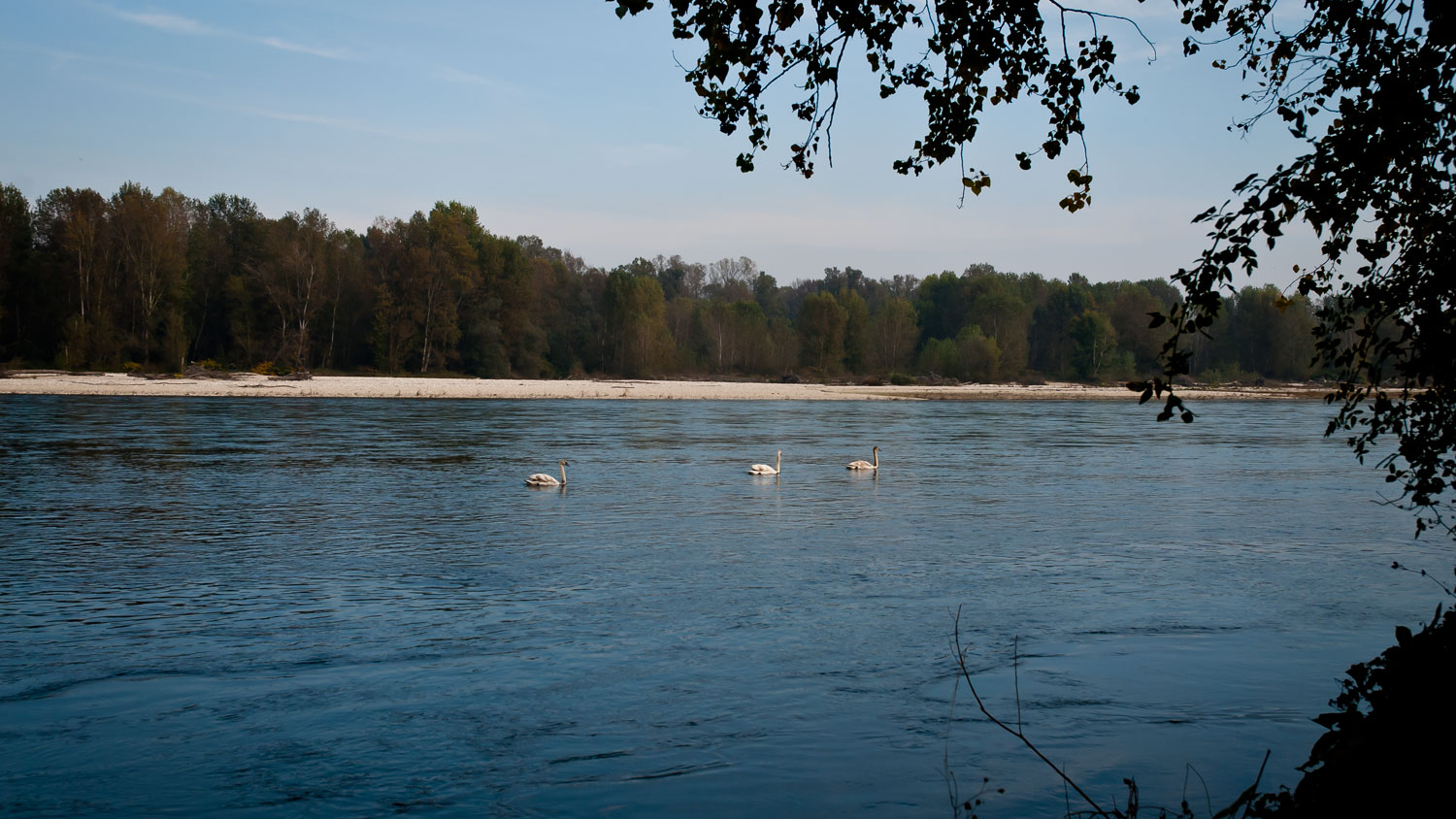 il fiume ticino