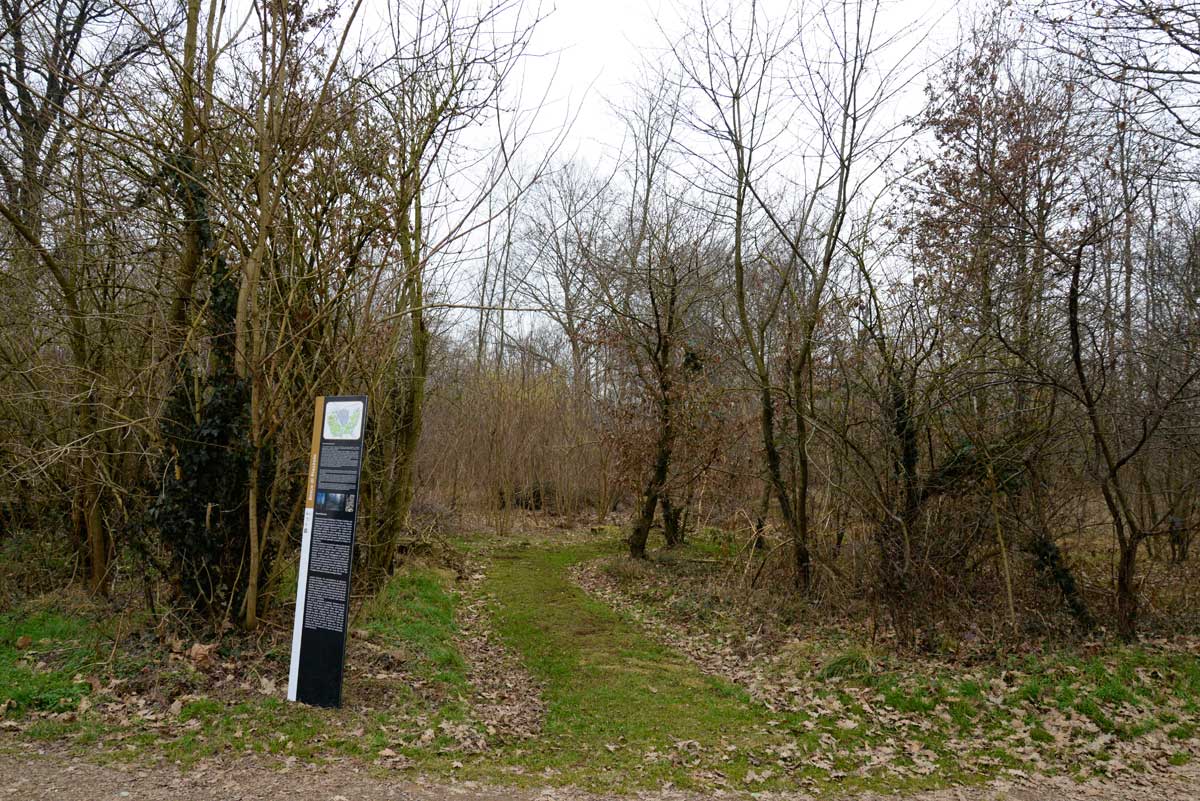 Ingresso bosco Riazzolo