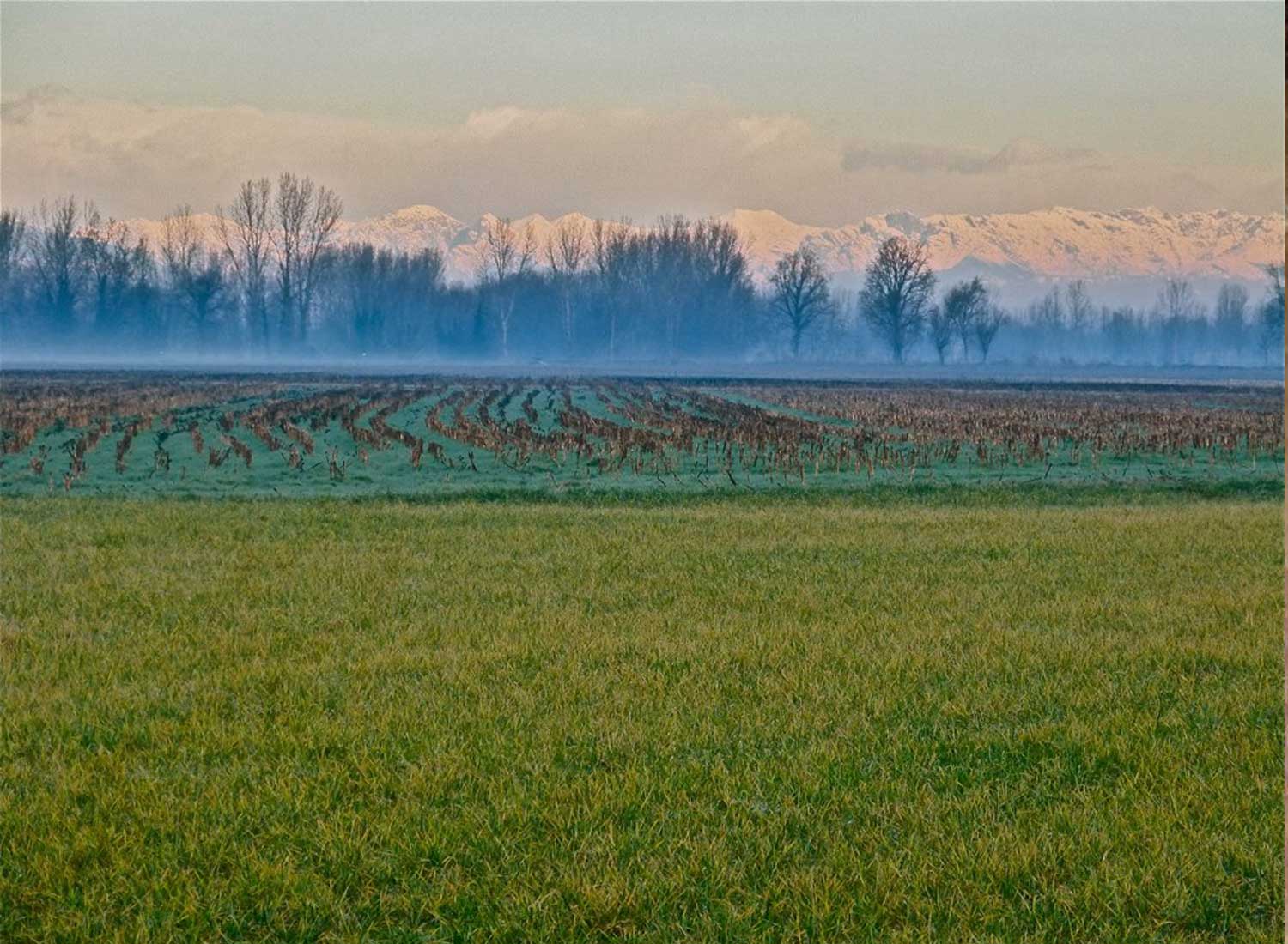 Vista sul Monte Rosa