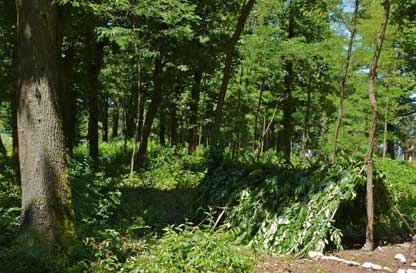 Avventurosamente... costruiamo una capanna nel bosco