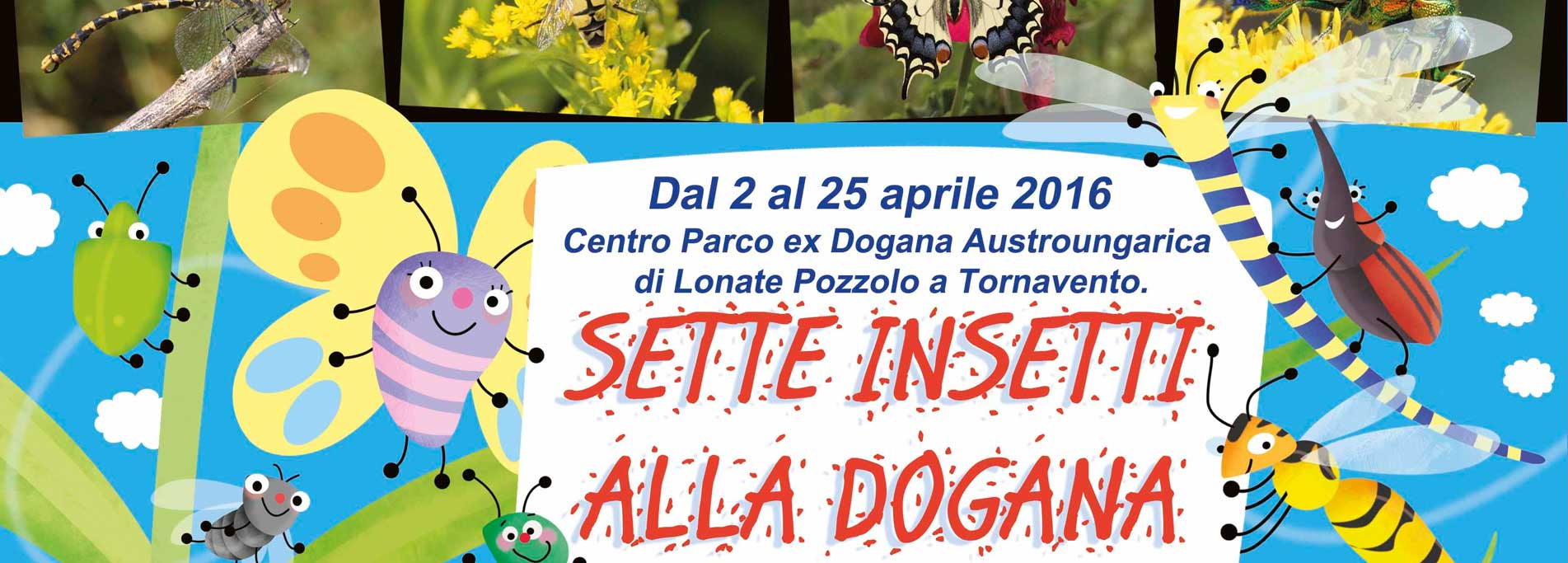 7 insetti alla Dogana