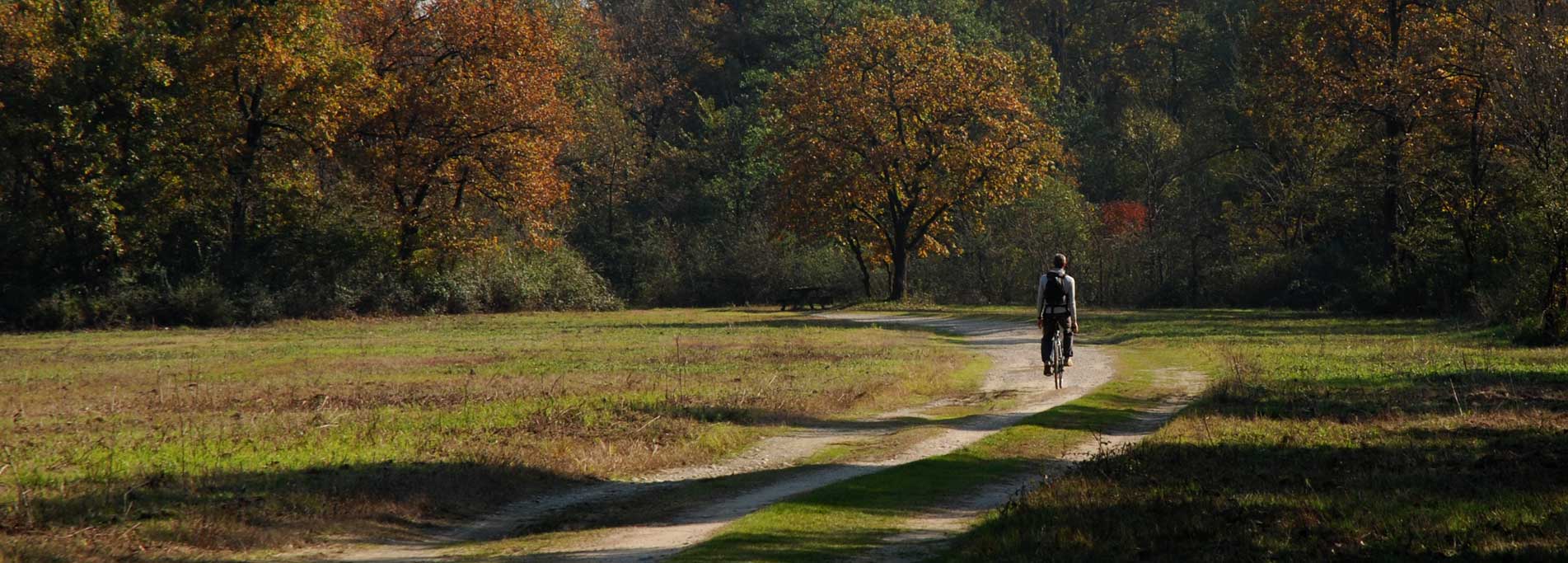 In bici nel Parco del Ticino