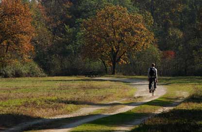 In bici nel Parco del Ticino