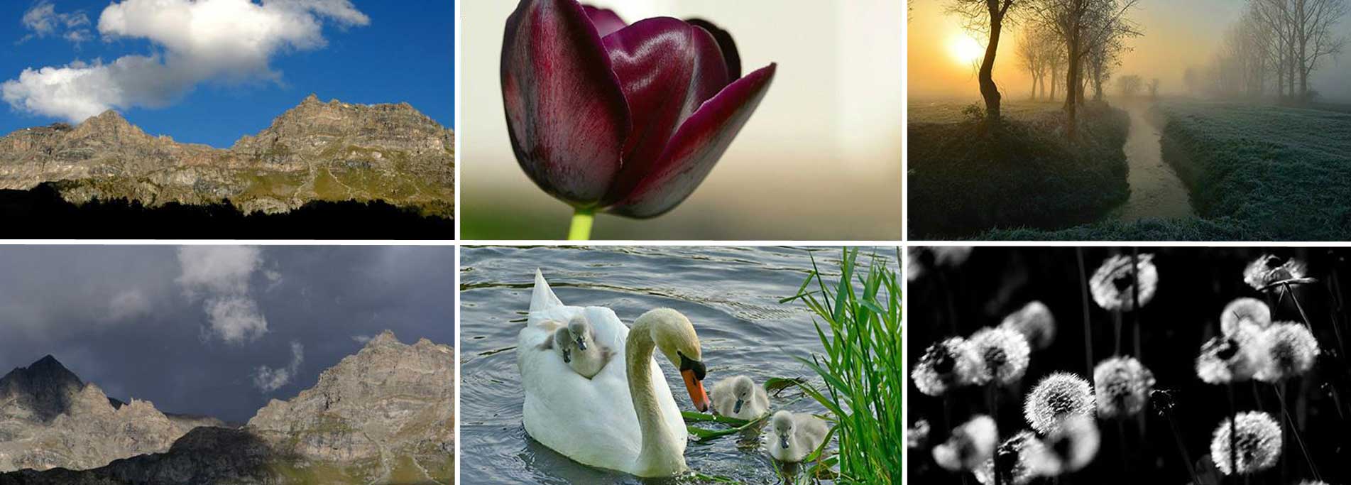 Mostra fotografica degli alunni di Fotopercorsi