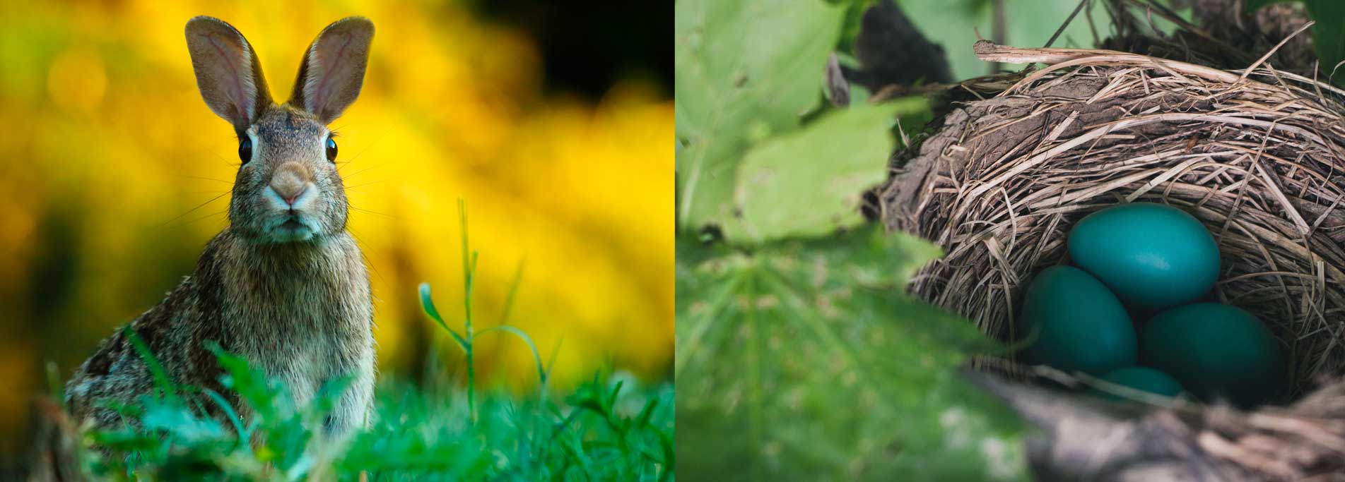 Pasqua e pasquetta al Centro Parco La Fagiana