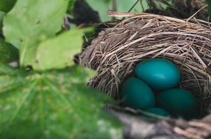 Pasqua e pasquetta al Centro Parco La Fagiana