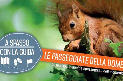 A ciascun albero il suo animale - Gita naturalistica