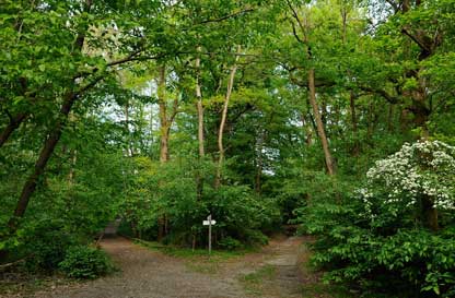 25 Aprile al Centro Parco la Fagiana del Parco del Ticino