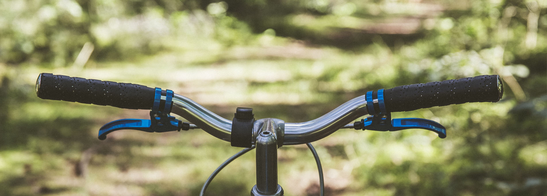 In bici nel parco