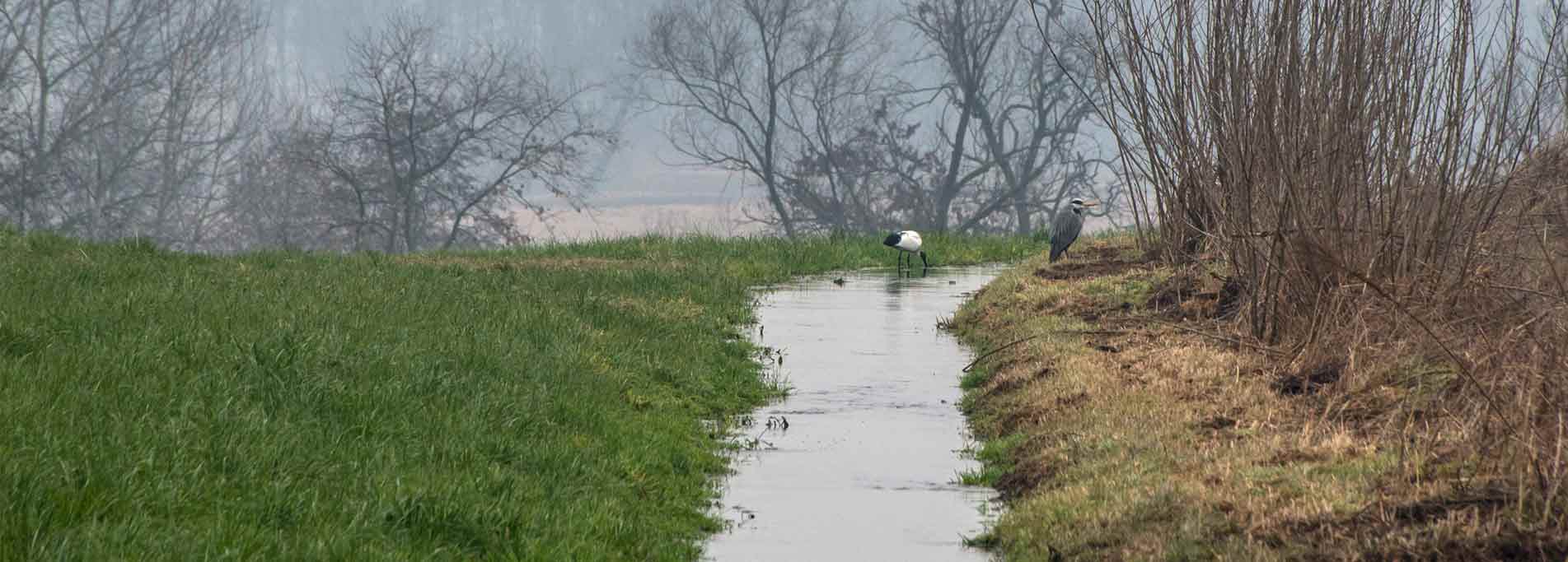 Paesaggi di Marcita, dalla terra al latte