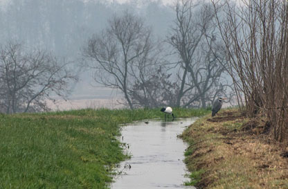 Paesaggi di Marcita, dalla terra al latte