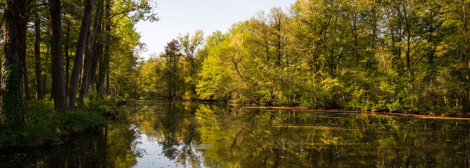 Escursione Naturalistica alla Riserva Salvaraja