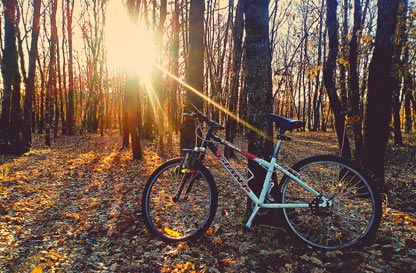 Bike Festival