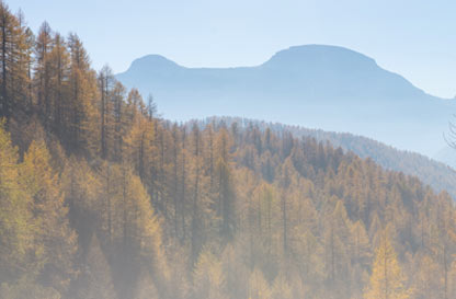 Workshop di fotografia di natura e paesaggio All’Alpe Devero
