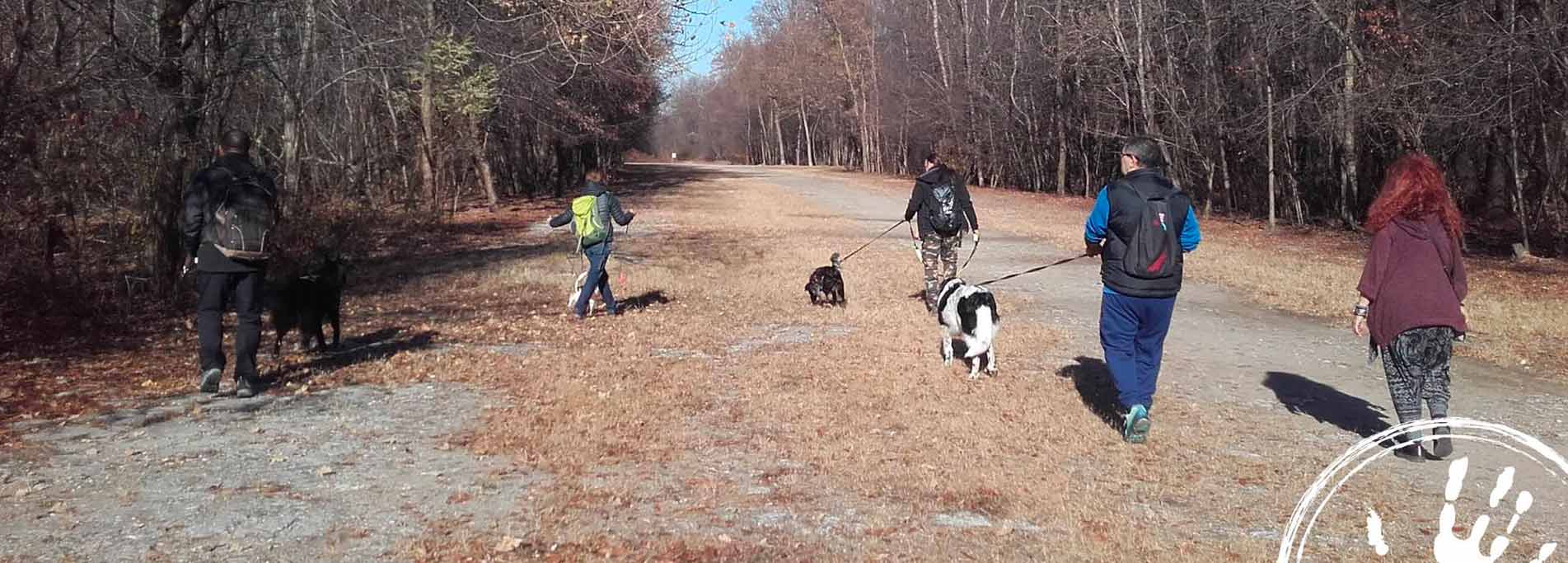 Social Dog Experience nel Parco del Ticino