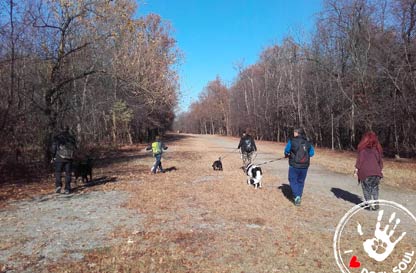 Social Dog Experience nel Parco del Ticino