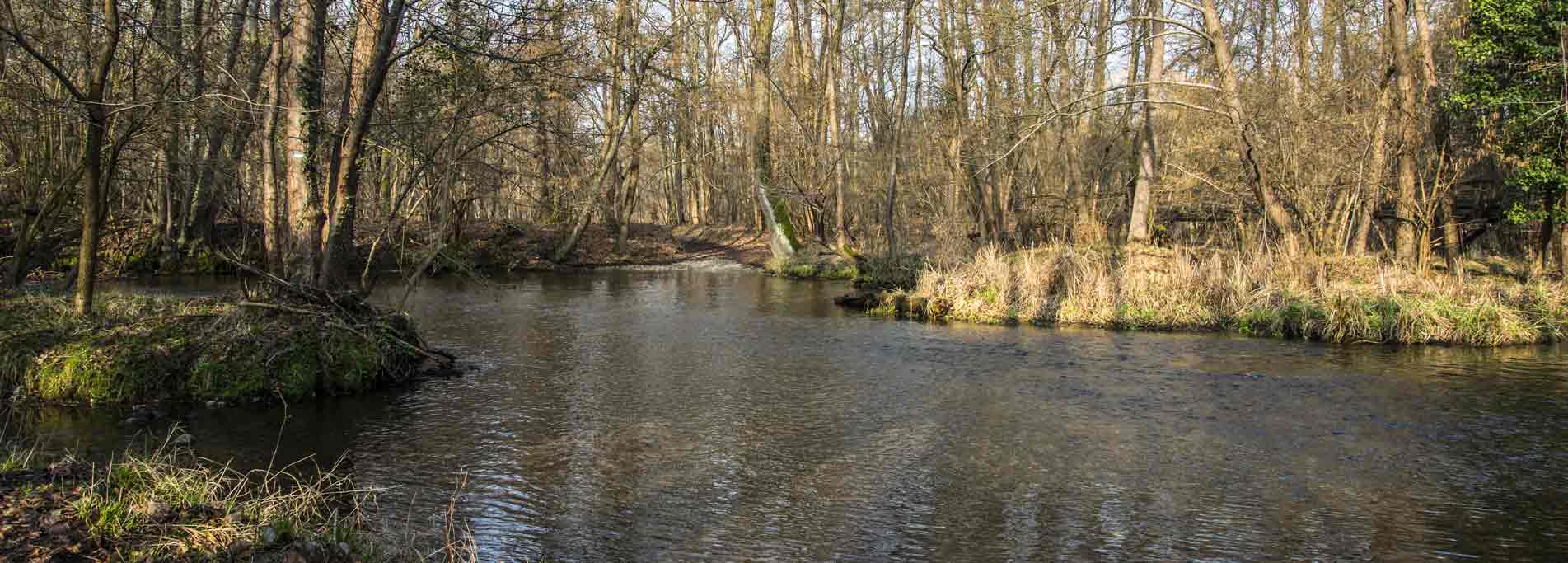 Piccoli abitanti del fiume