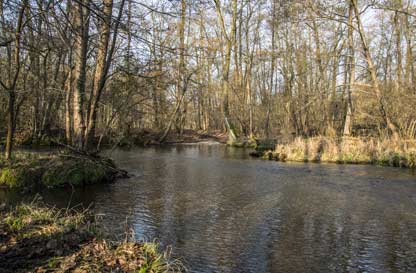 Piccoli abitanti del fiume