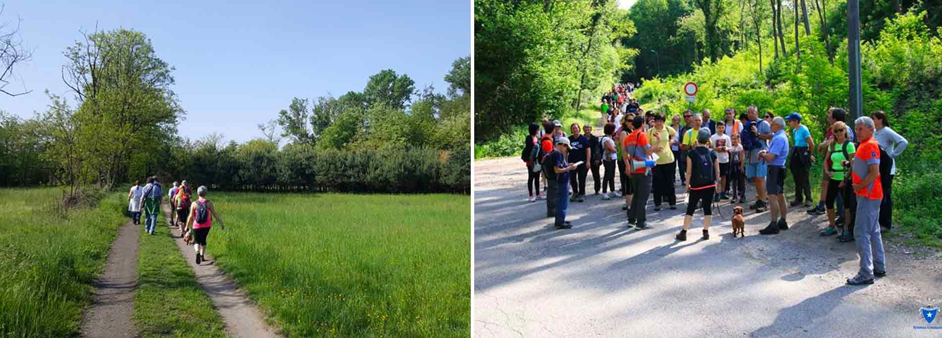 Escursione storico naturalistica nel Parco del Ticino