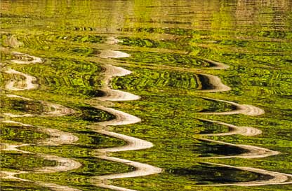 ACQUA, movimenti e riflessi