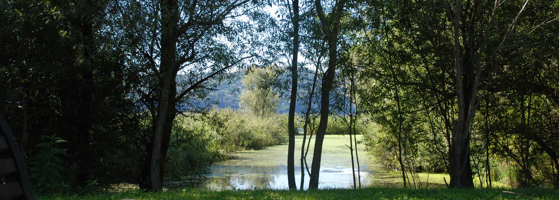 Oasi della Bruschera di Angera