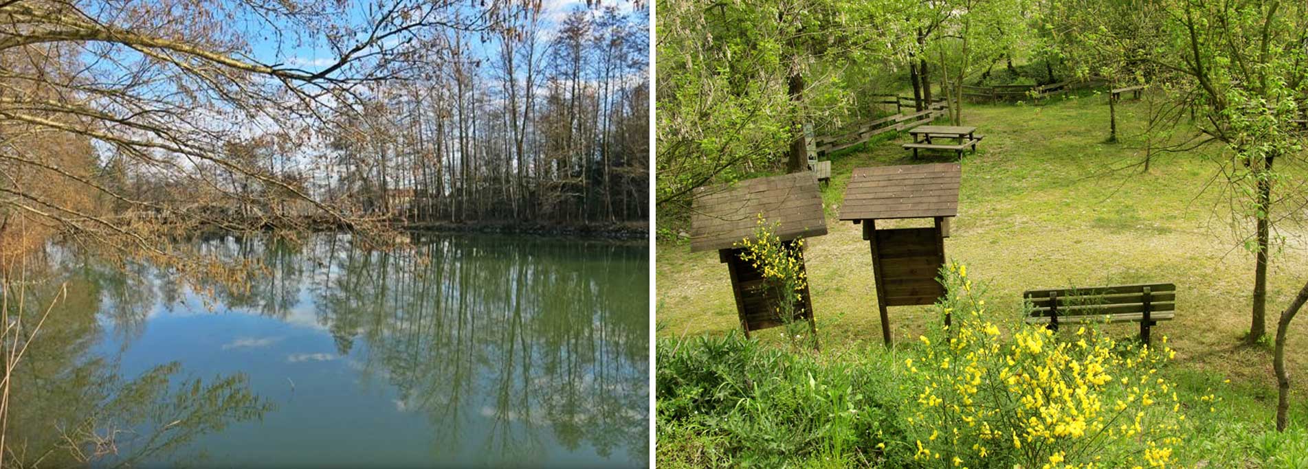 Area Naturalistica Le Ginestre di Oleggio