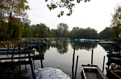 Lanca Ayala di Vigevano