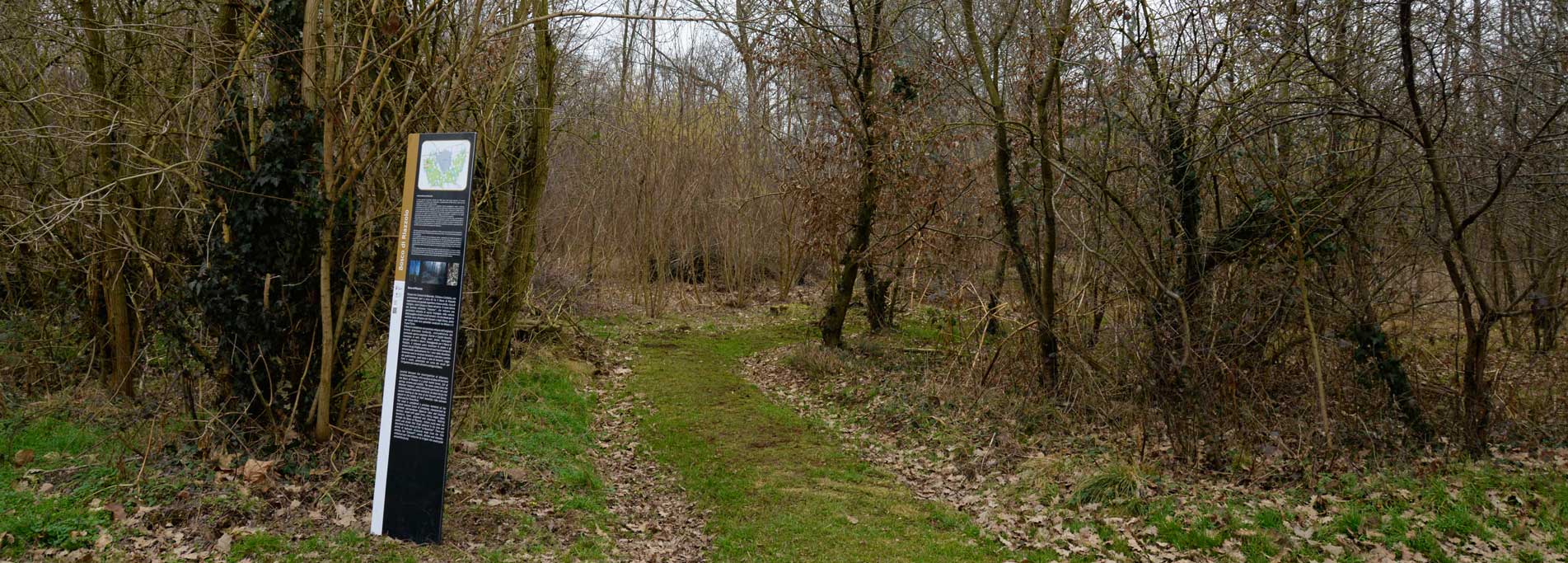 Bosco di Riazzolo