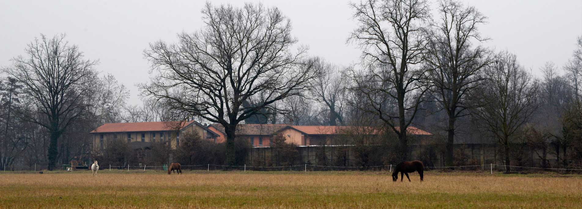 Agriturismo La Forestina di Cisliano