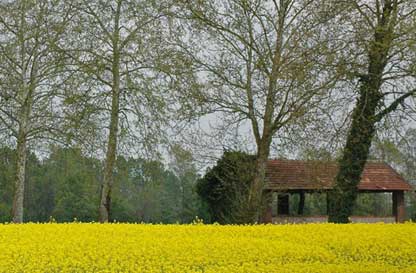 Azienda Agricola Salvaraja