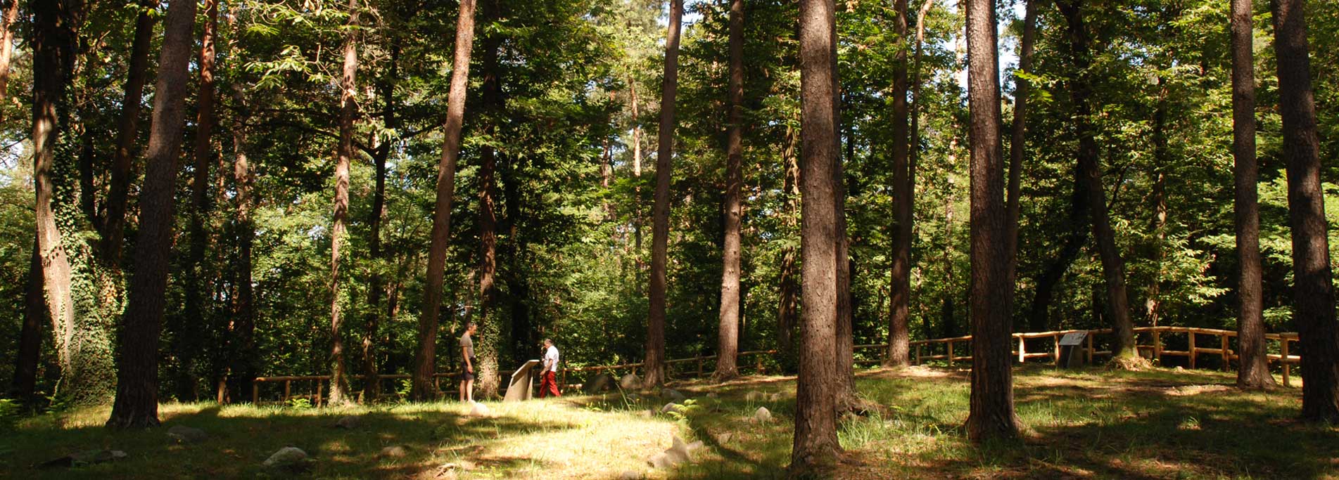 Area archeologica del Monsorino di Golasecca