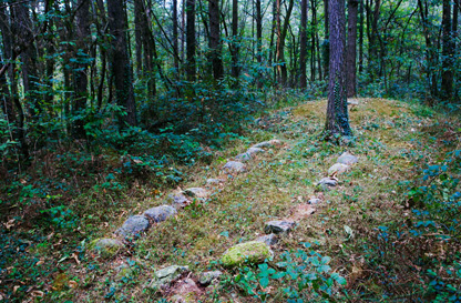 Area archeologica del Monsorino di Golasecca