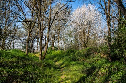 Oasi Lipu Bosco del Vignolo