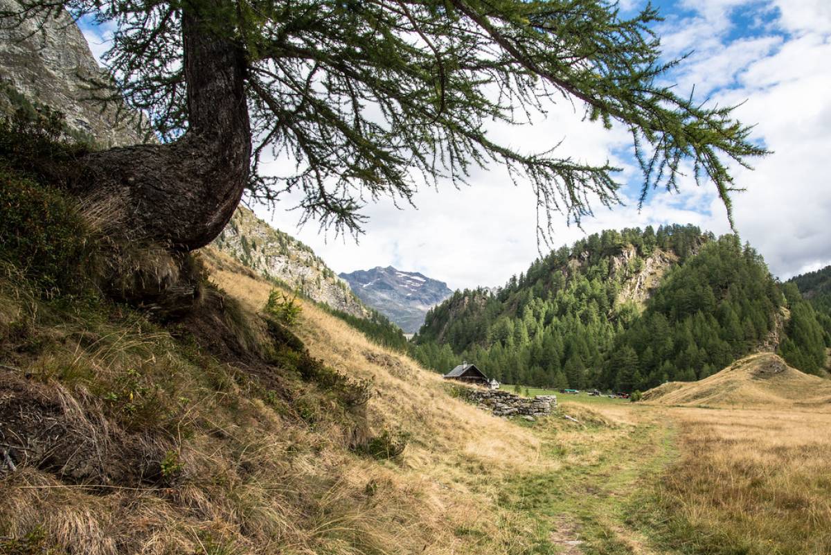 Salendo verso Crampiolo - Alpe Devero