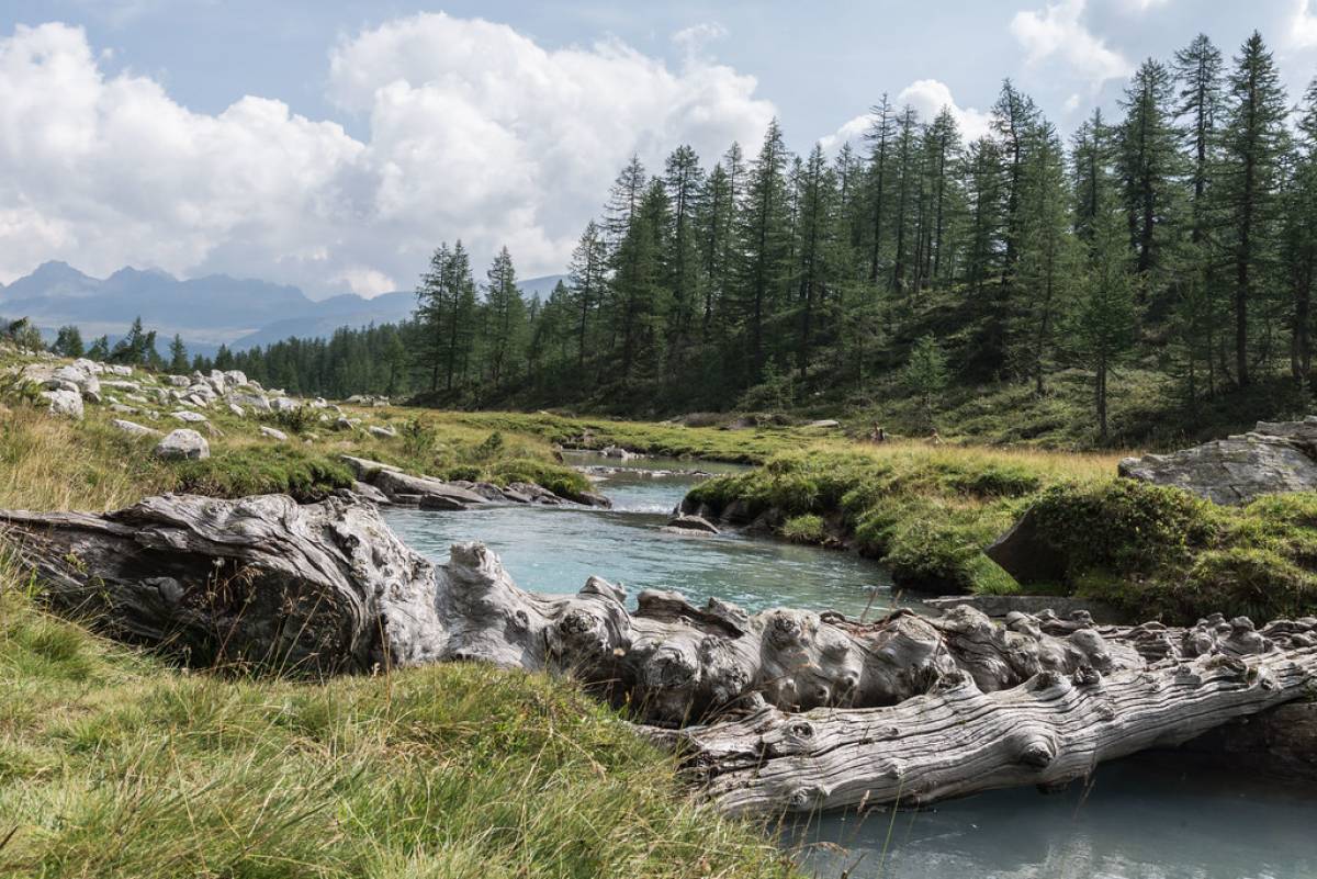 Valle Buscagna