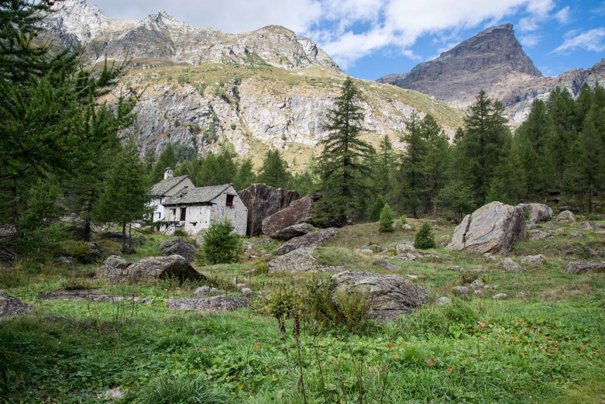 Punta Rossa - Alpe Devero