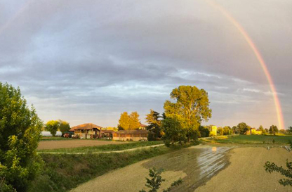 Azienda agricola Cuneo Marco