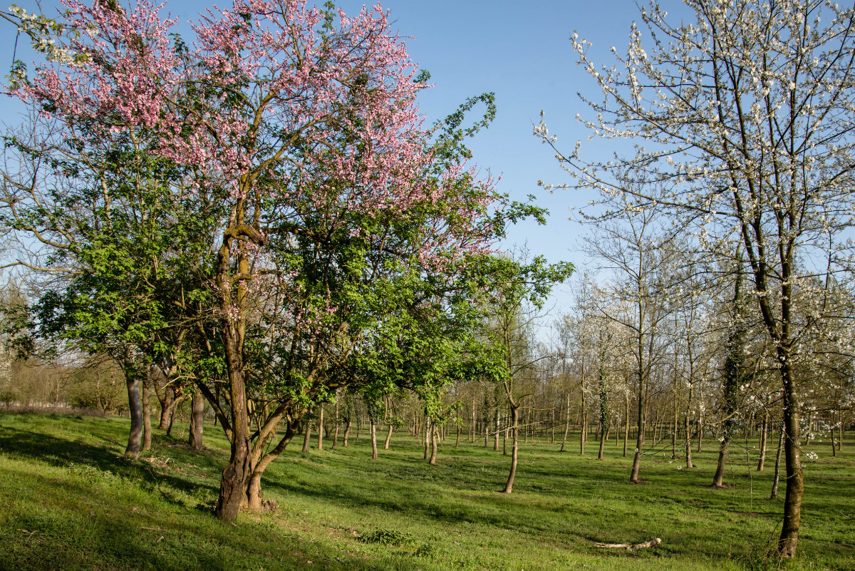 agriturismo i leprotti parco