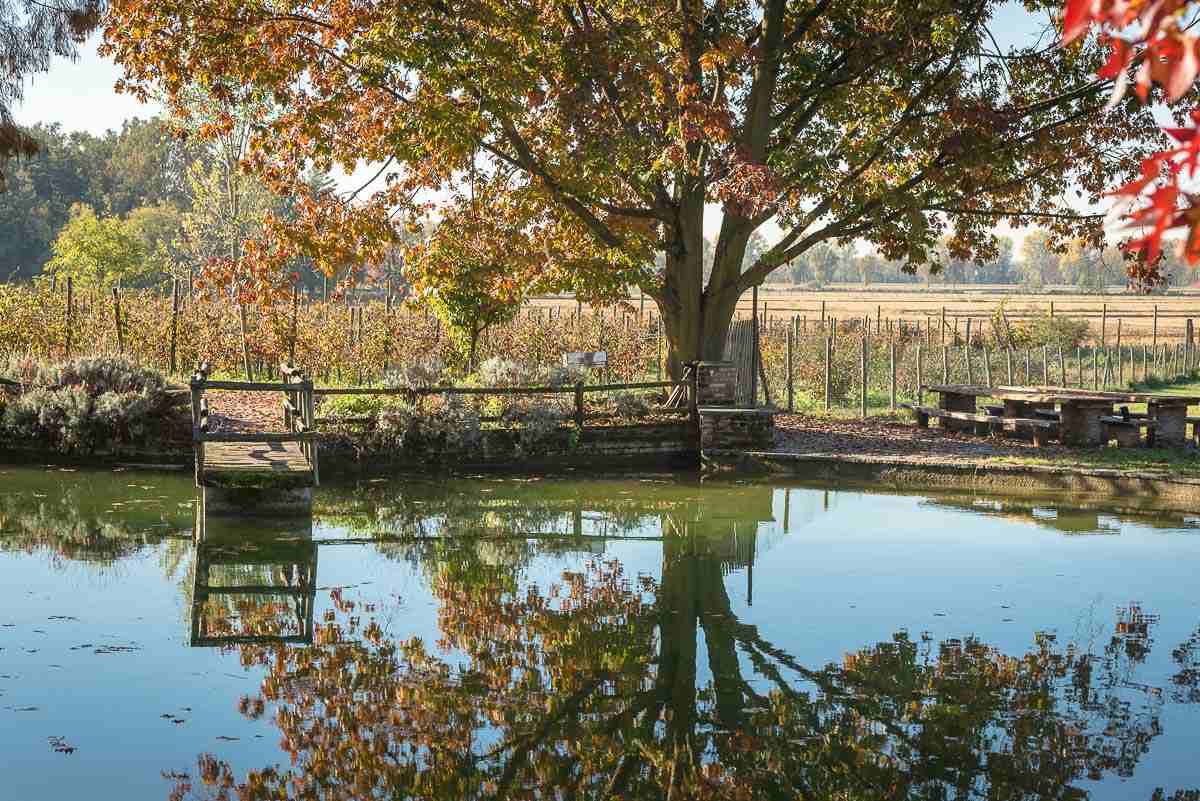 agriturismo i leprotti laghetto