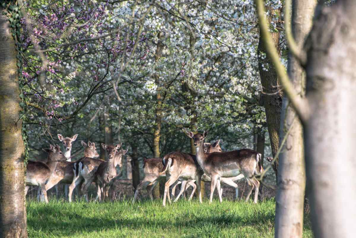 Agriturismo i leprotti esterni