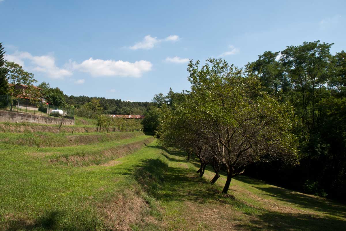 cascina Bilesa