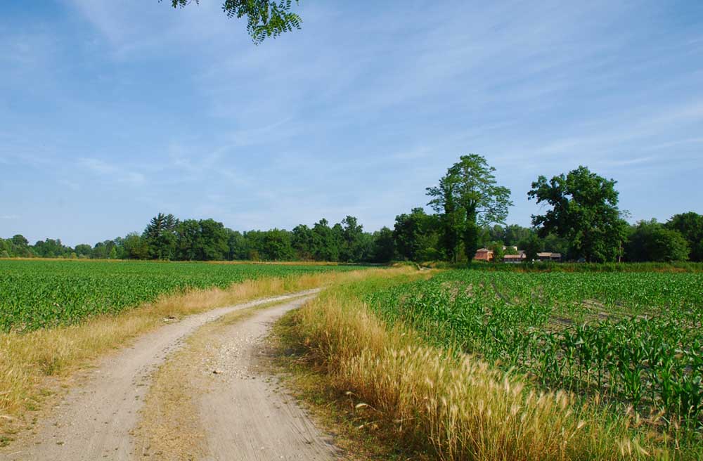 Campi Coltivati - Cassolnovo