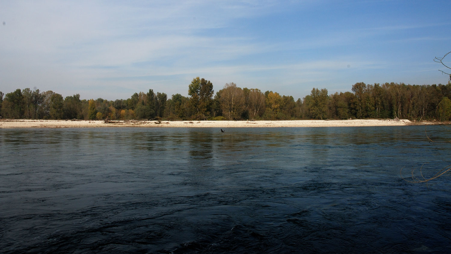 fiume Ticino