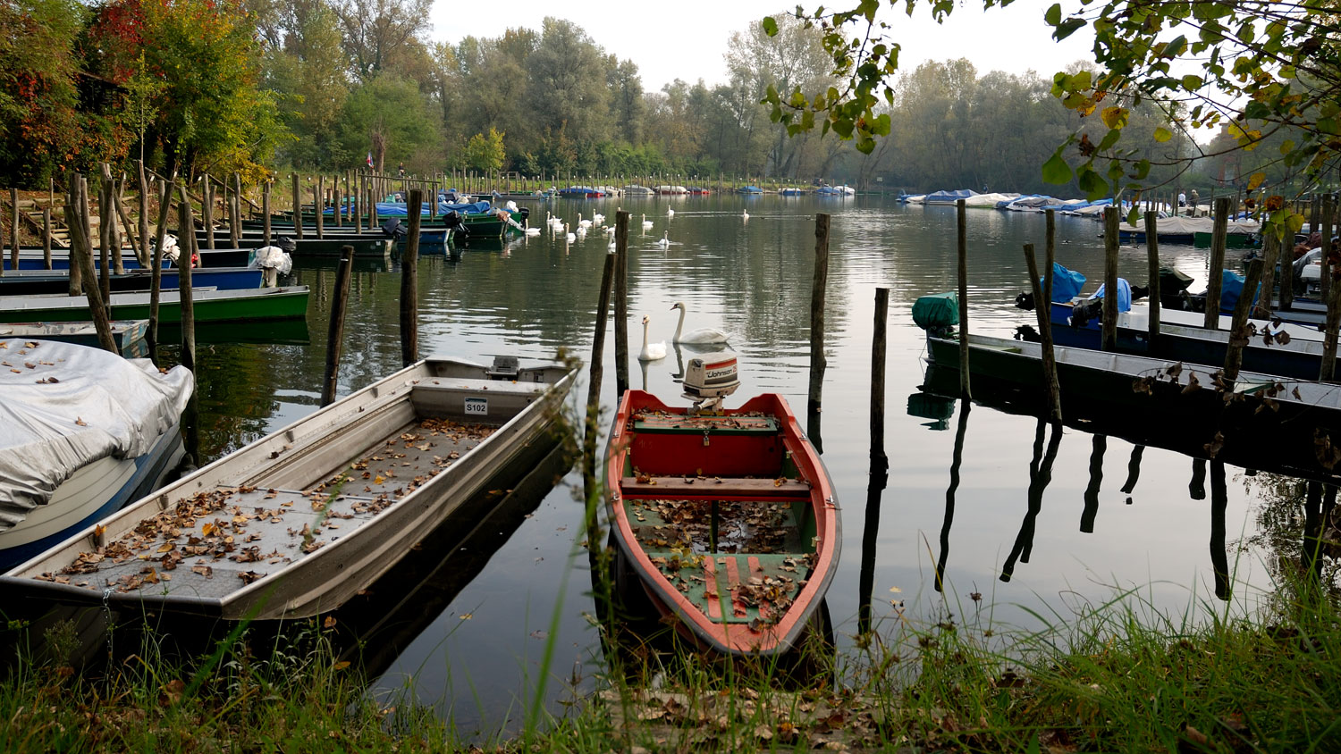 Darsena delle barche - Lanca Ayala