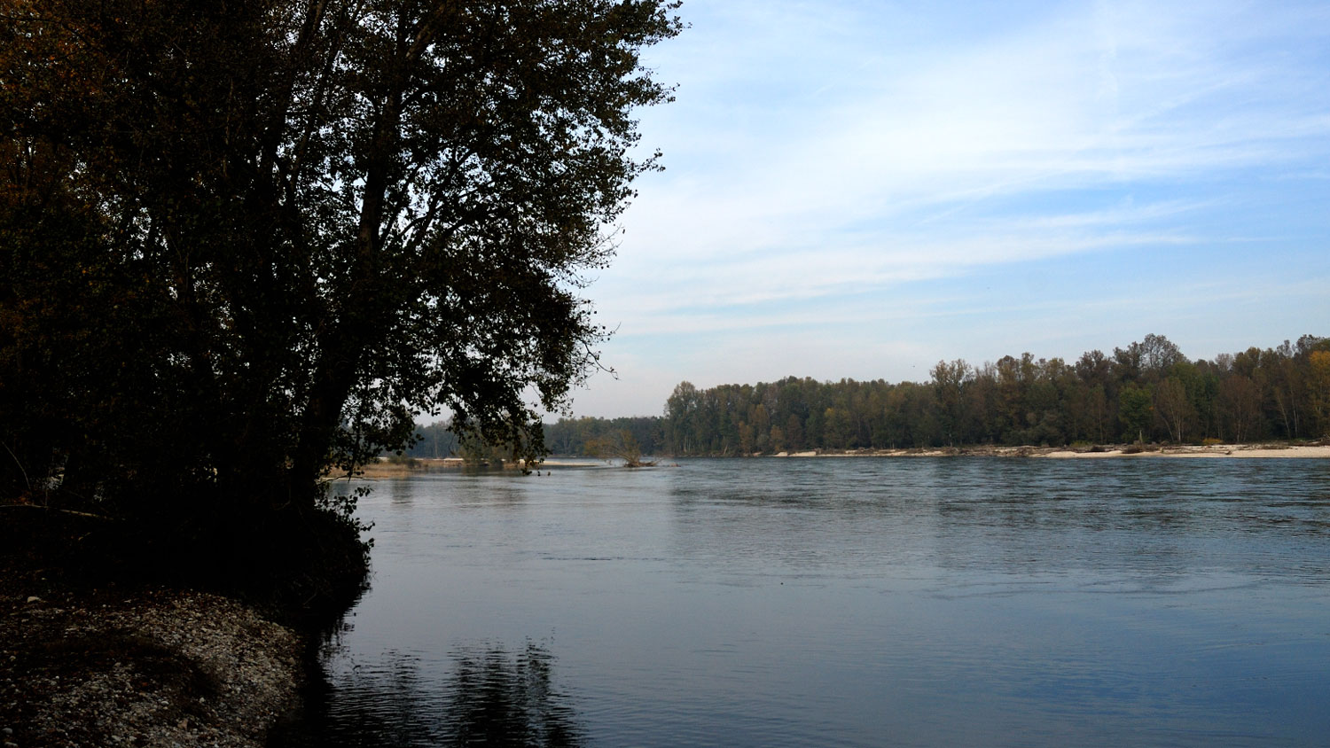 Fiume Ticino - Lanca Ayala