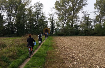 Tra Albairate e Cisliano tra cascine e fontanili