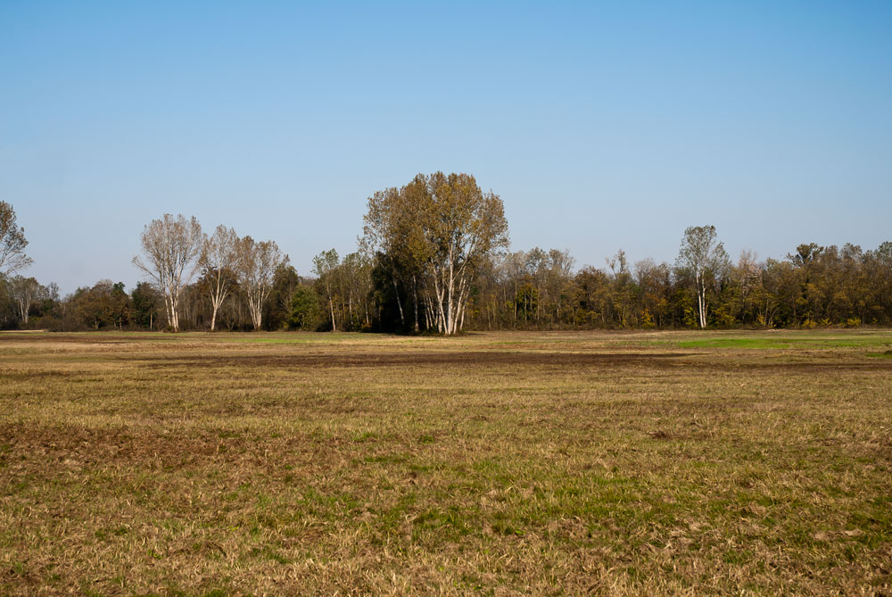 Paesaggio - Anello Ronchi - Sentiero delle Farfalle